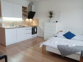 Apartman Bystrc